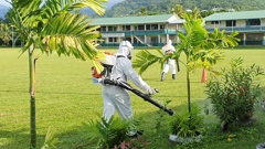 Samoan authorities are carrying out fumigation around the island nation to get rid of mosquitoes, in a bid to reduce the spread of dengue fever. Photo / Ministry of Health Samoa