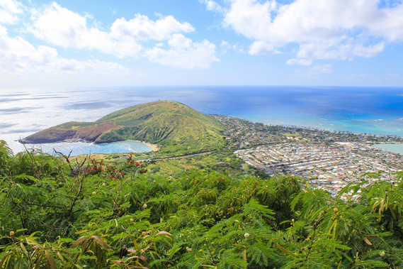 The view from Koko Crater Summit. Photo / Supplied