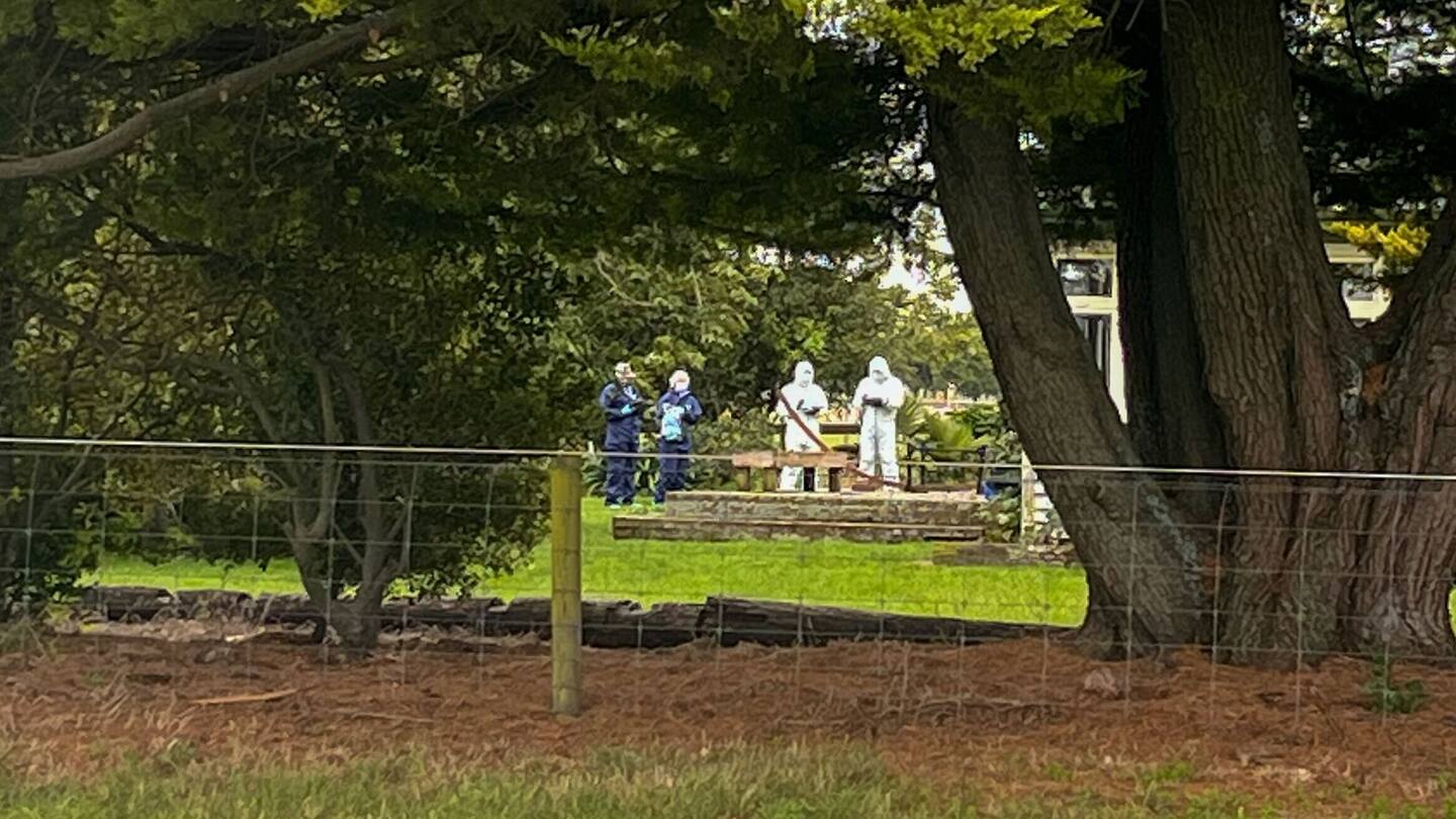 Teen accused of murdering elderly woman, assaulting two female family members granted name suppression