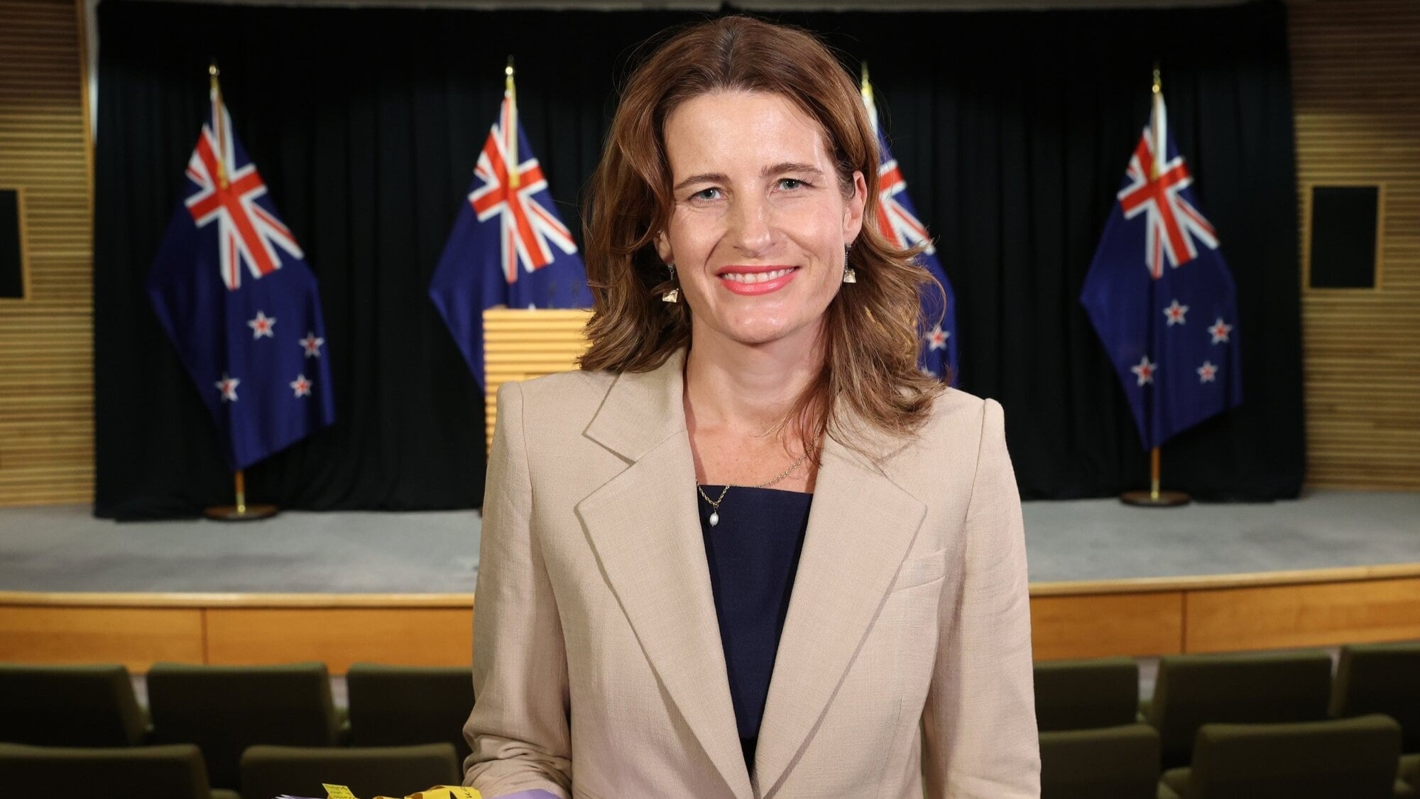 Muldoon-era car-less day final stage of a long plan, Nicola Willis says