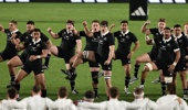 The All Blacks perform the haka before the game against England at Eden Park last year. Photo / Photosport