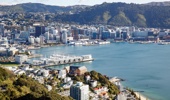 The current processing time for Lims issued by Wellington City Council is 28 working days.Photo / Mark Mitchell