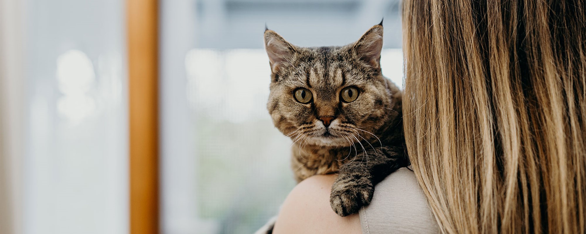 (Photo / Pet Refuge)