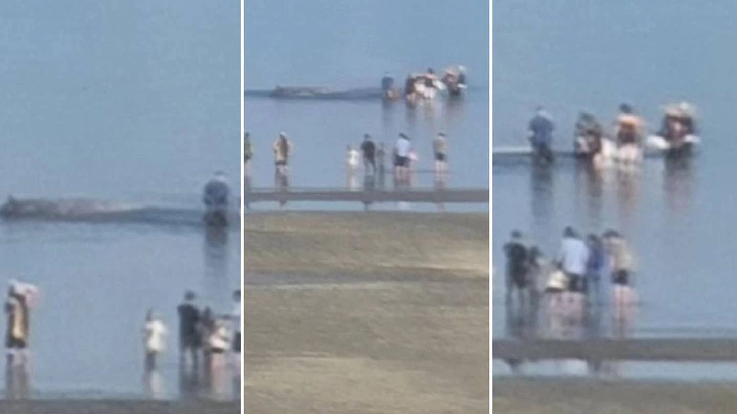 Pictures of the stranding taken from a distance and shared on a community Facebook page. Photo / Supplied