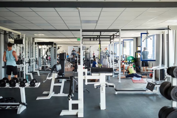 A report says young men often engage with fitness-related content and feel pressure to measure up, but they talk less about the negative side effects. Photo / 123RF