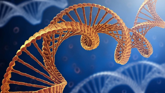DNA helped a Wellington woman track down her birth father. Photo / Supplied