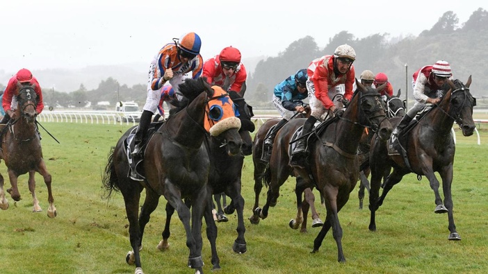 Leaderboard claimed the gold in the Group 3 race in the 2023 Wellington Cup. Photo / Race Images
