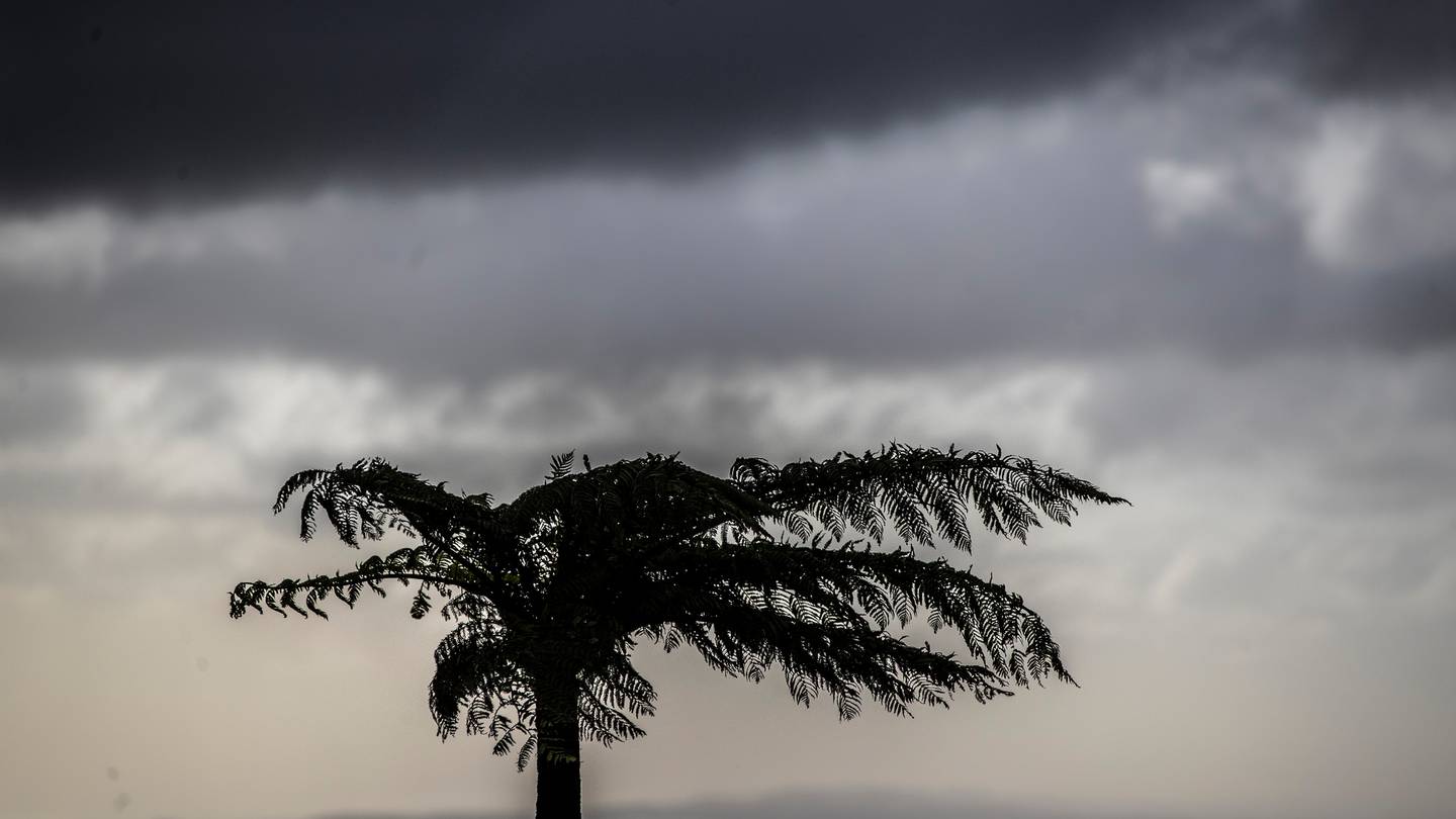 The school holidays are set to get off to a wet and windy start. Photo / NZME