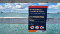 'Not worried': Aucklanders ignore safety warnings to fish in polluted harbour