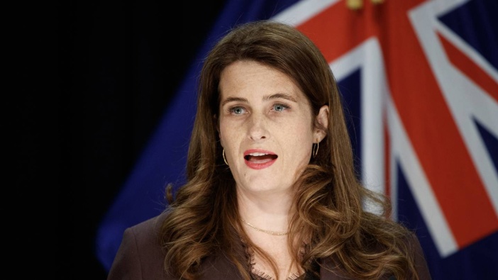 Minister Nicola Willis. Photo / Mark Mitchell
