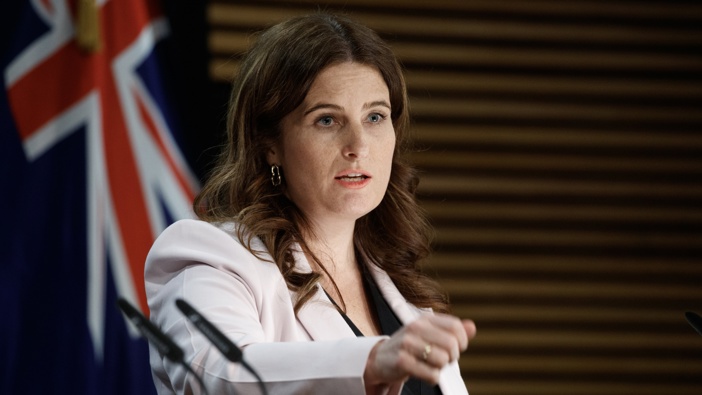 Finance Minister Nicola Willis. Photo / Mark Mitchell