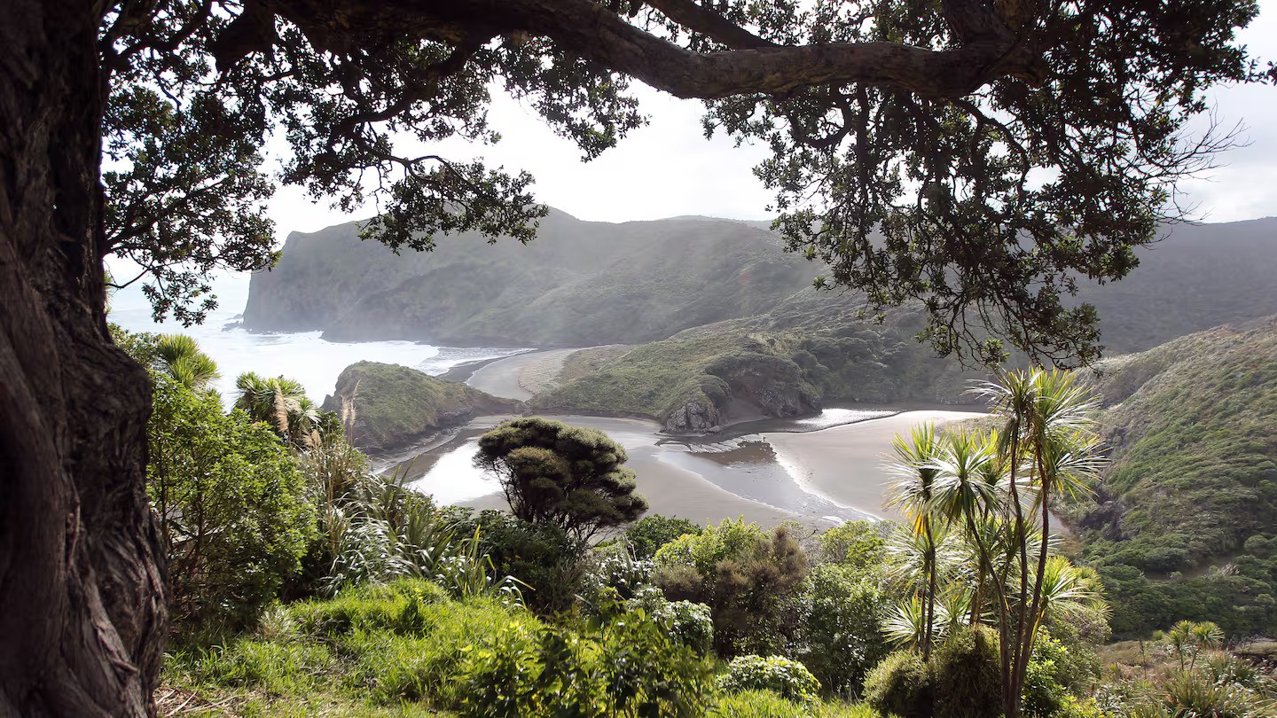  Photo / Doug Sherring