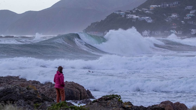 Wellington's south coast is forecast to experience waves as high as 5m. Photo / Mark Mitchell