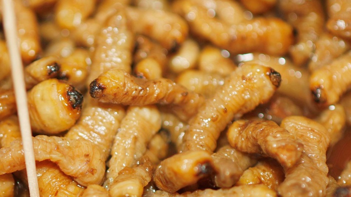 Huhu grubs have been a staple on the menu at Hokitika Wildfoods Festival over the years but this year it's been cancelled due to Covid-19. Photo / File