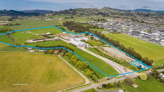 The site for sale, which is owned by Te Mata Mushrooms Limited. Photo / Supplied