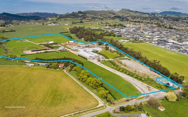 Te Mata Mushrooms sells off big chunk of site