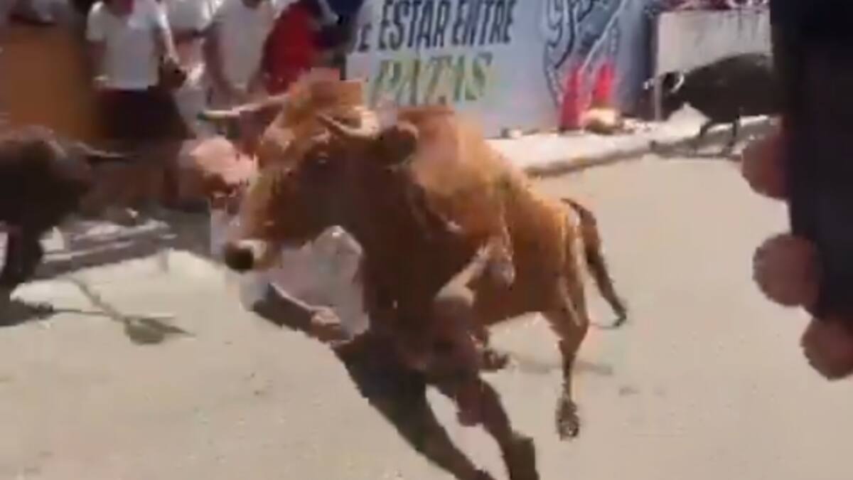 Bull strike: Man knocked out mid-run at crowded street festival