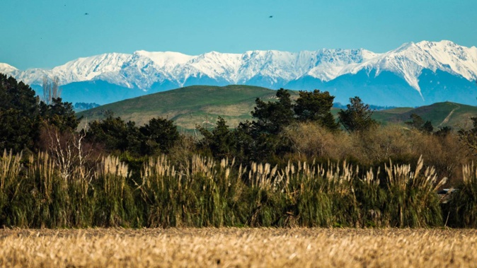 The Ruahine ranges blanketed in snow on a chilly Sunday morning. Photo / Paul Taylor