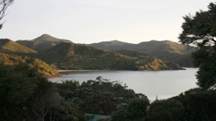 Two boys were buried after a sand dune collapsed on them while at a beach on Great Barrier Island on Sunday. Photo / File