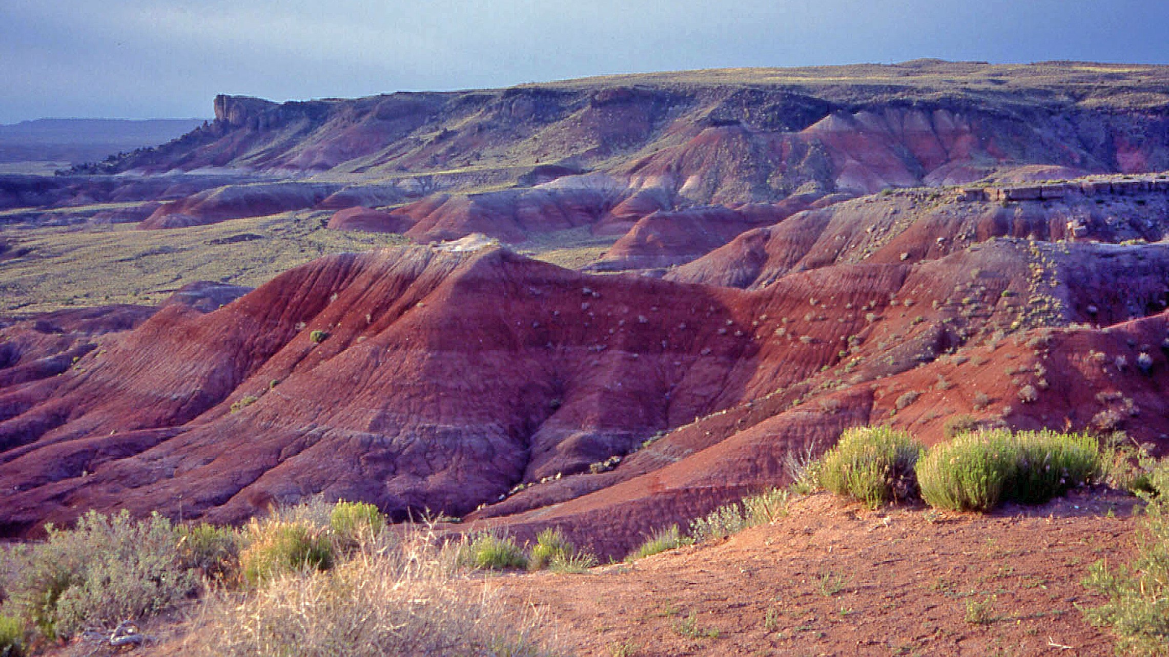 Mike Yardey: Centenary kicks on Arizona’s Route 66
