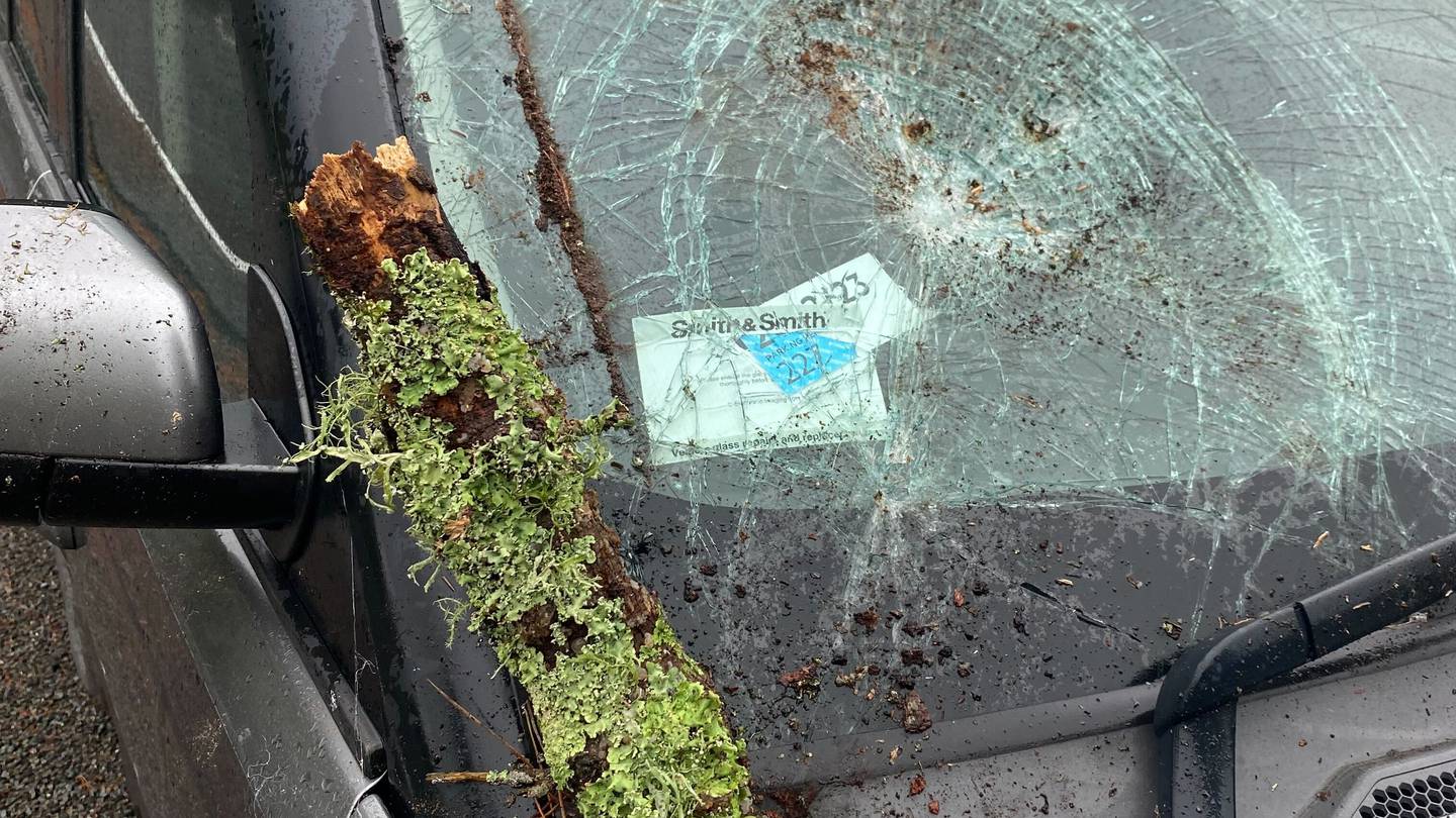 She said the incident occurred just before 12pm. Photo / Supplied