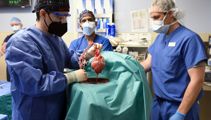 'Either die, or this transplant': Surgeons transplant pig heart into human