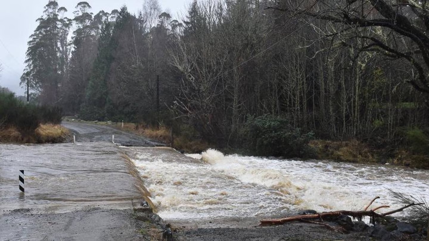The scene of the accident at Silver Stream. Photo / Gregor Richardson