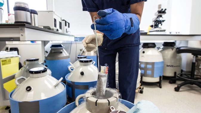 An embryologist removes straws that are used for embyo/semen storage from the storage tanks at Fertility Associates' Remuera clinic. Photo / Michael Craig