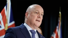 Prime Minister Christopher Luxon. Photo / Mark Mitchell