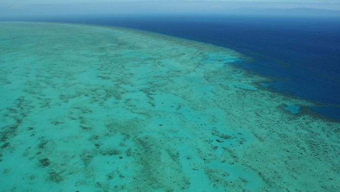 A nickel refinery owned by the Australian businessman turned politician Clive Palmer, has reportedly dumped toxic sludge near the Great Barrier Reef Marine Park (Photo: Getty Images)