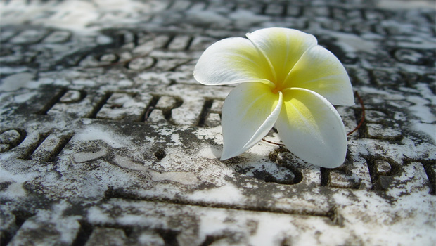 Acclaimed Greek author Menis Koumandareas has been found dead - apparently murdered - in his Athens home (Photo: Stock Xchng)