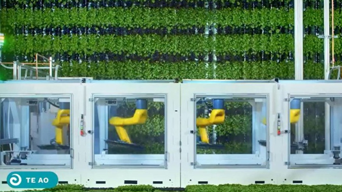 Vertical farming company, Plenty. Photo / Whakaata Maori