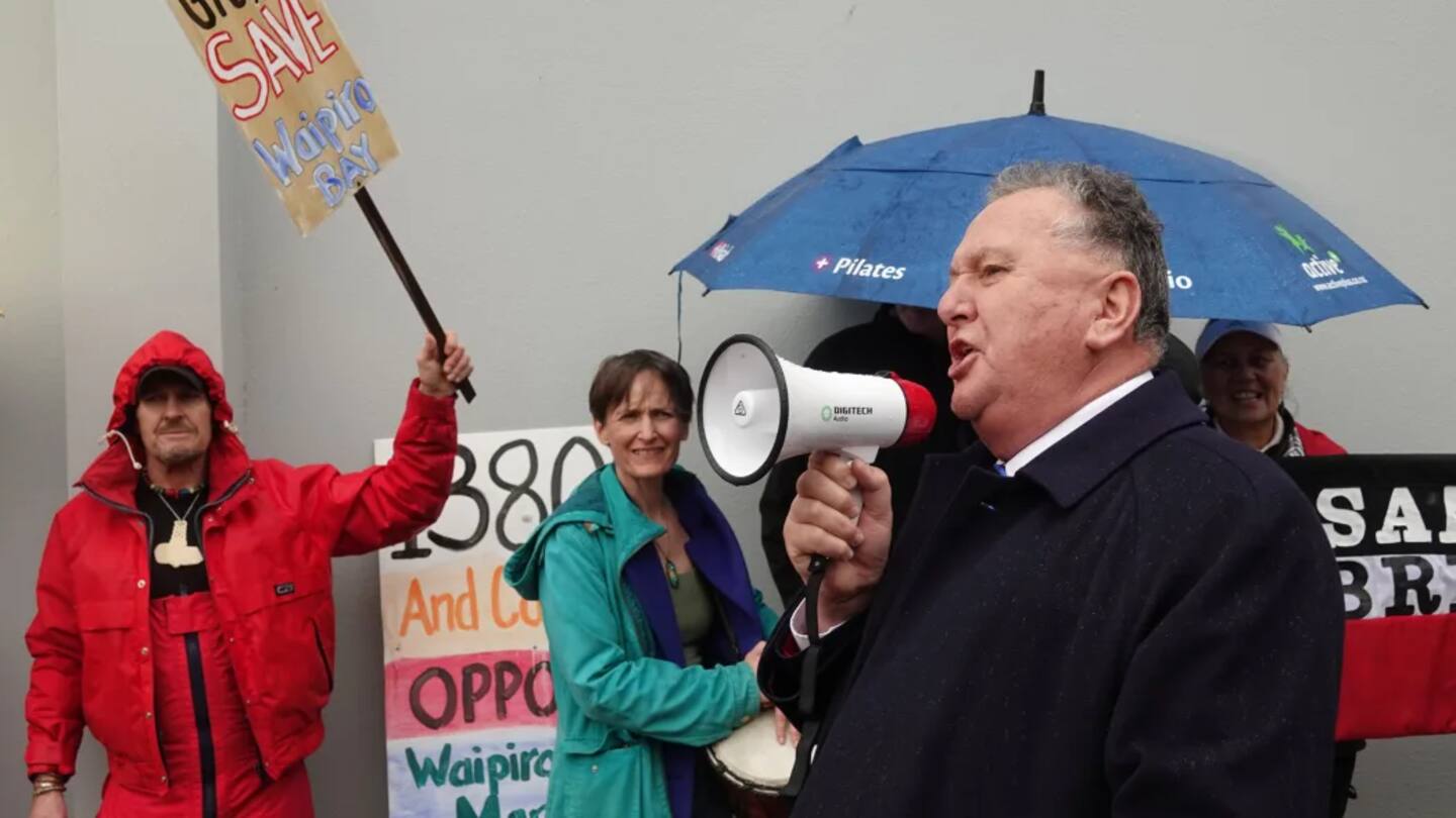 NZ First to campaign on ministers getting final say in fast track projects