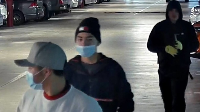 Police have appealed for information. (Photo / NZ Police)