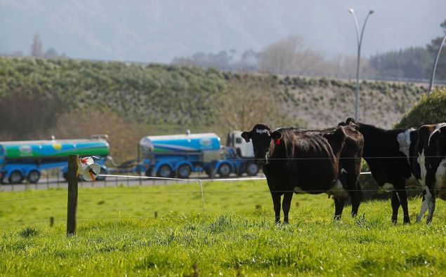 Fonterra farmer shareholders have voted in favour of a plan to revamp the co-operative's capital structure. (Photo / NZME)