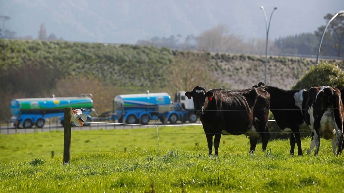 Fonterra farmer shareholders have voted in favour of a plan to revamp the co-operative's capital structure. (Photo / NZME)