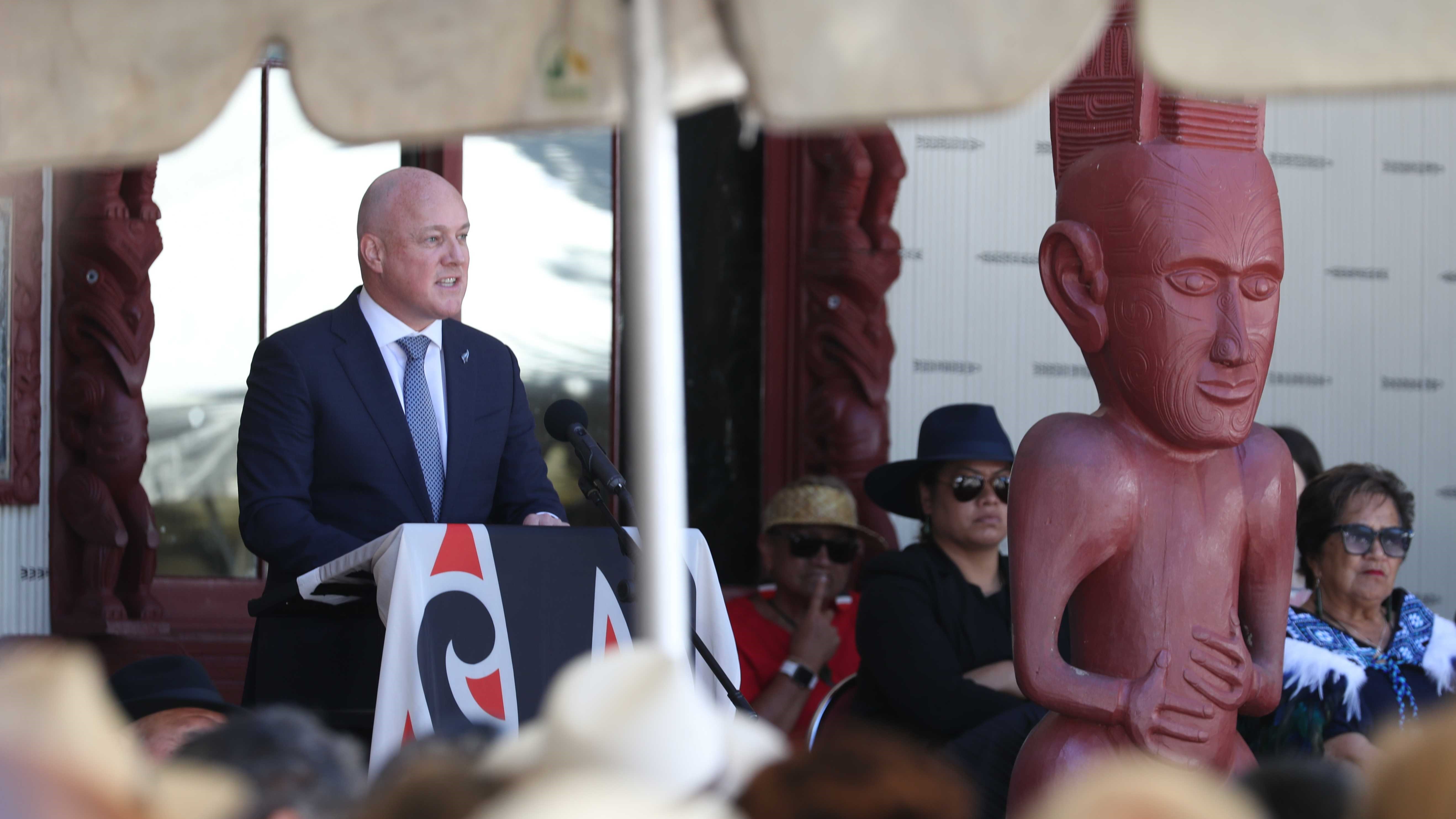 Photo / Michael Cunningham 