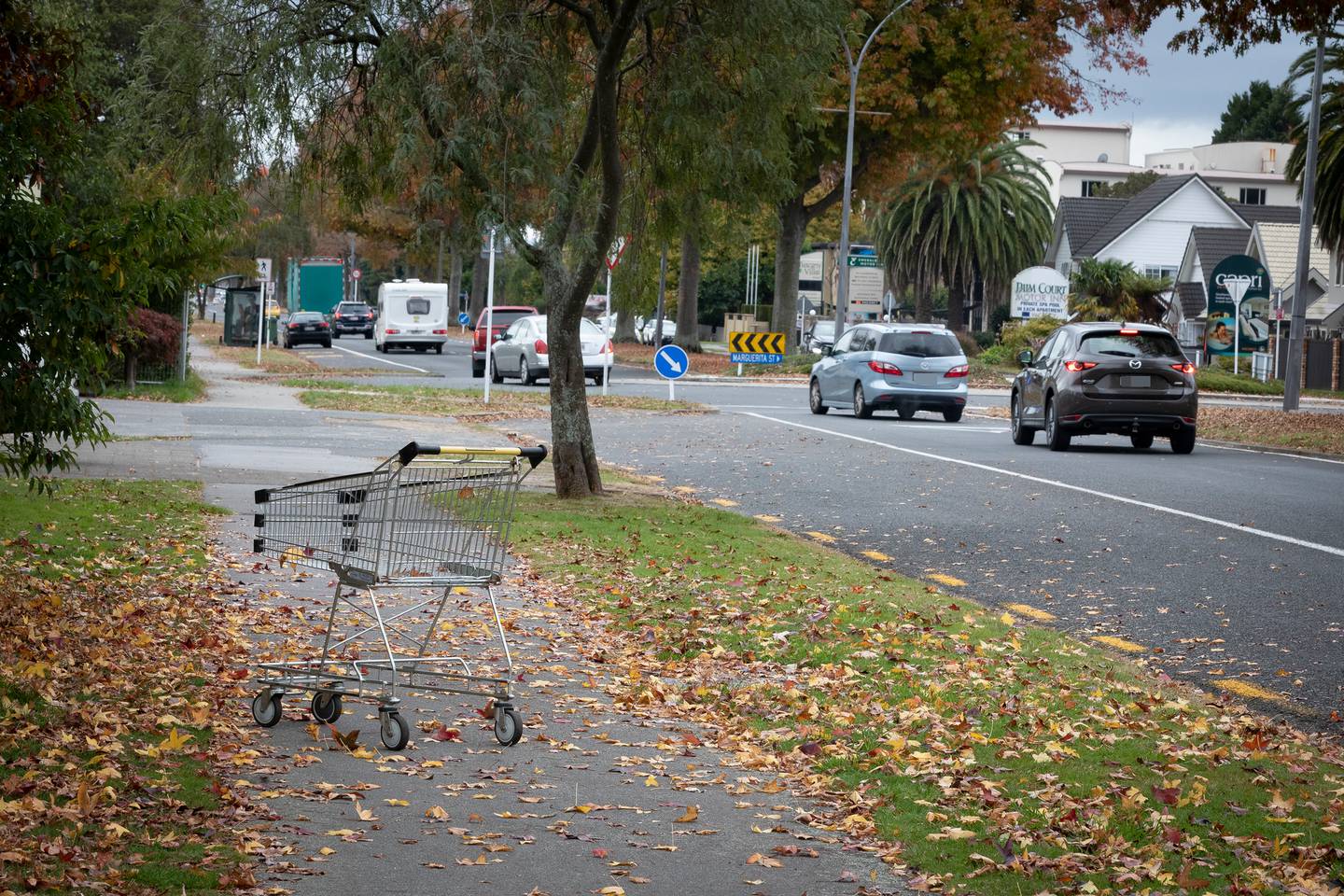 Fenton St in Rotorua. Photo / Andrew Warner