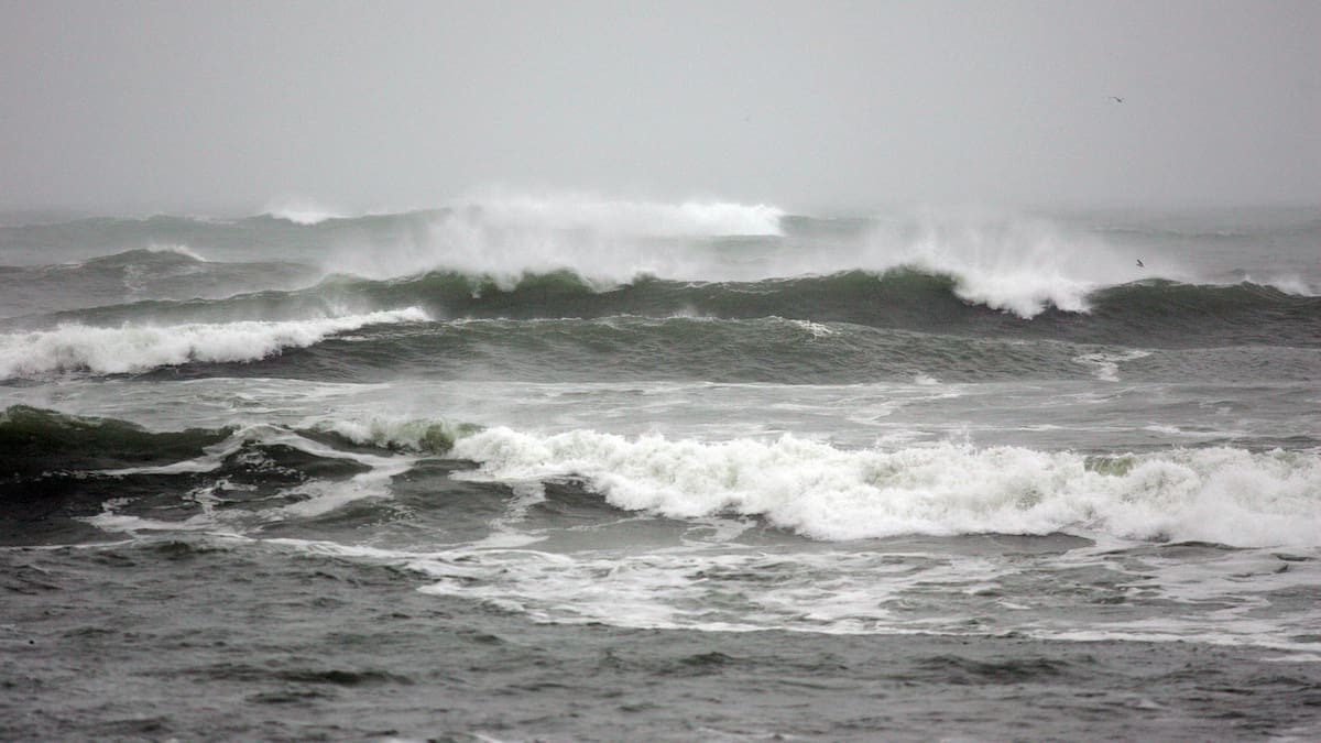 Mandatory emergency evacuation order issued for Wellington waterfront homes as ‘significant swell event’ looms