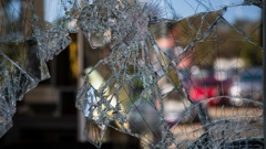 Smashed windows are among problems reported by residents of Tania Cres. Photo / Getty images