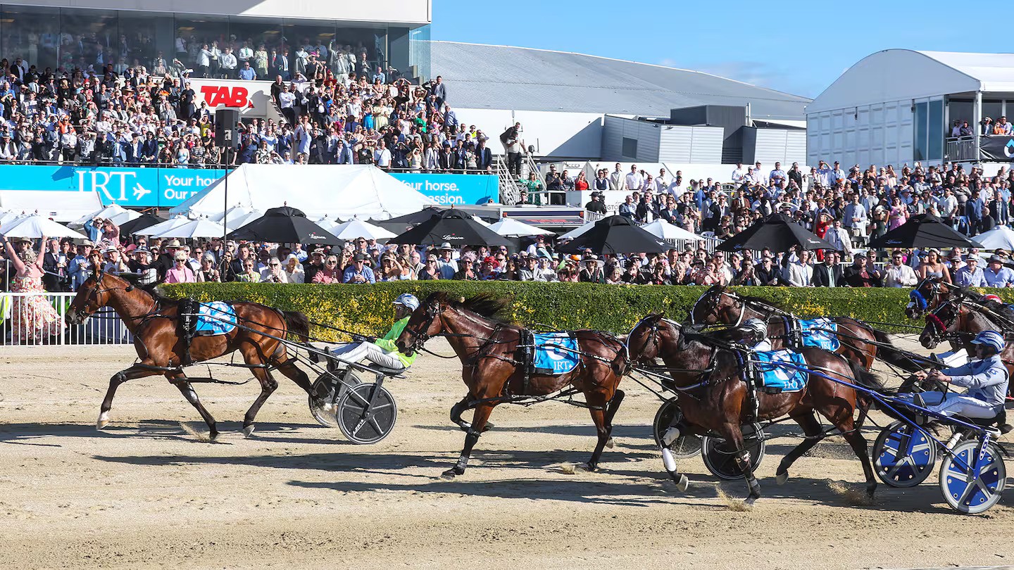 McCarthy and Kingman produce magic to clinch NZ Cup