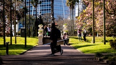 The body of a newborn baby was found in Albert Park, in central Auckland, on Sunday morning. Photo / Dean Purcell
