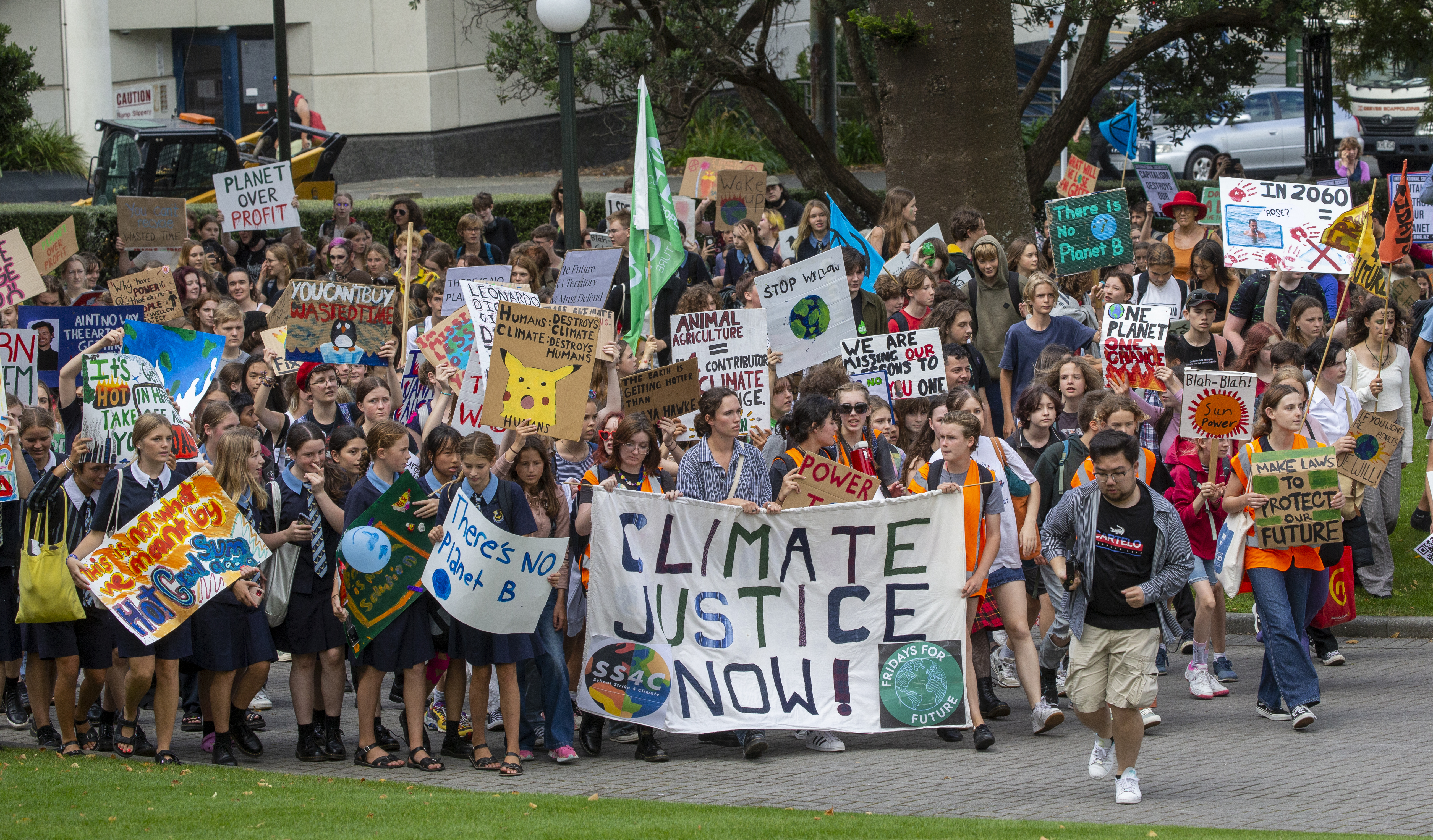 Photo / Mark Mitchell