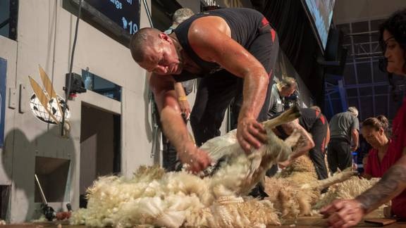 South Island shearer Leon Samuels. Photo / Peter Nikolaison