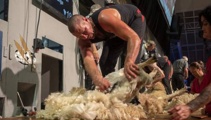 Doug Laing: Shearing Sports on record-breaking year
