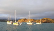 Niamh O'Flynn: Flotilla arriving in Helena Bay