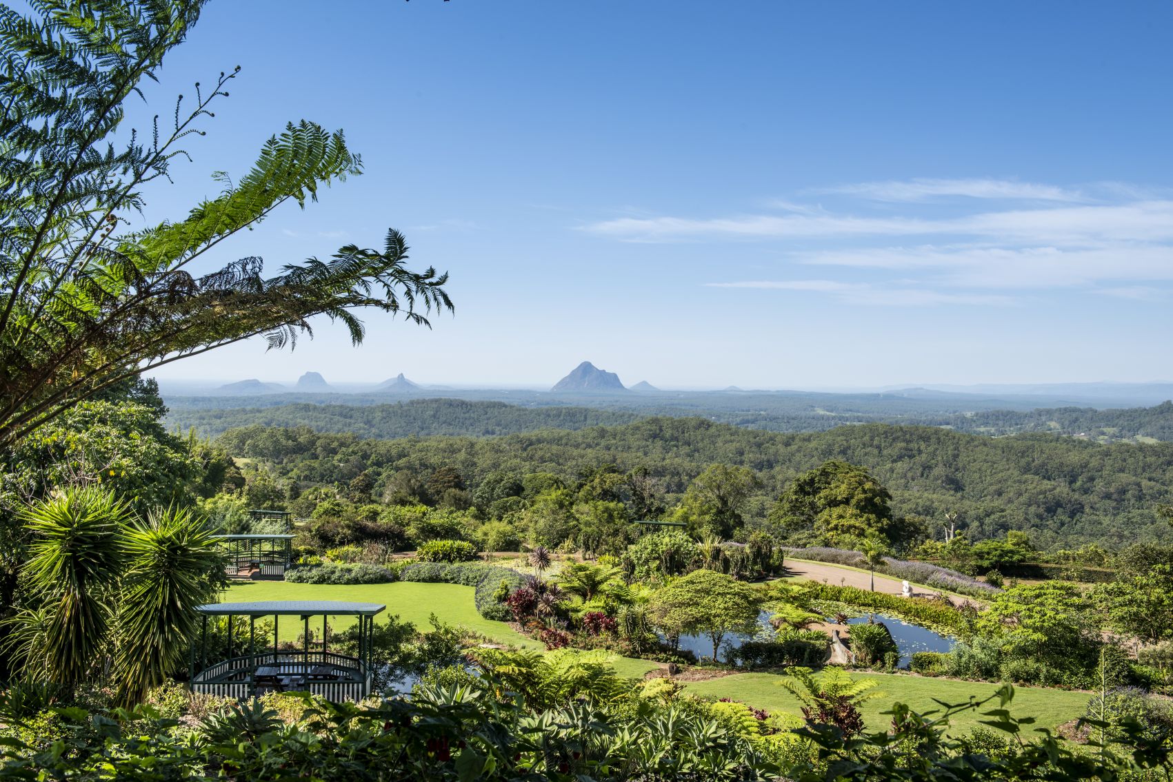 Maleny Botanic Gardens. Photo / Visit Sunshine Coast