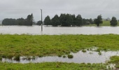 Flooding continues at Whakapara, northeast of Whangārei. Despite rain overnight, the flood levels have dropped in some places. Photo / Denise Piper