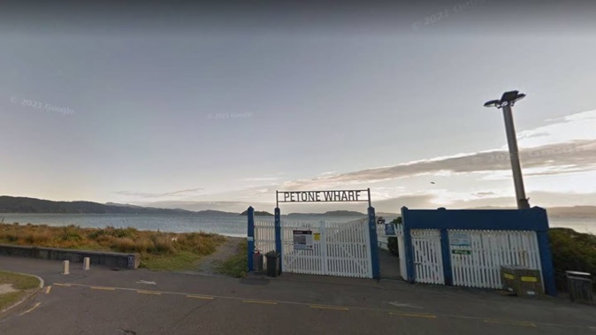 The foot was found at Petone Beach, in Wellington, early on Saturday morning. Image / Google