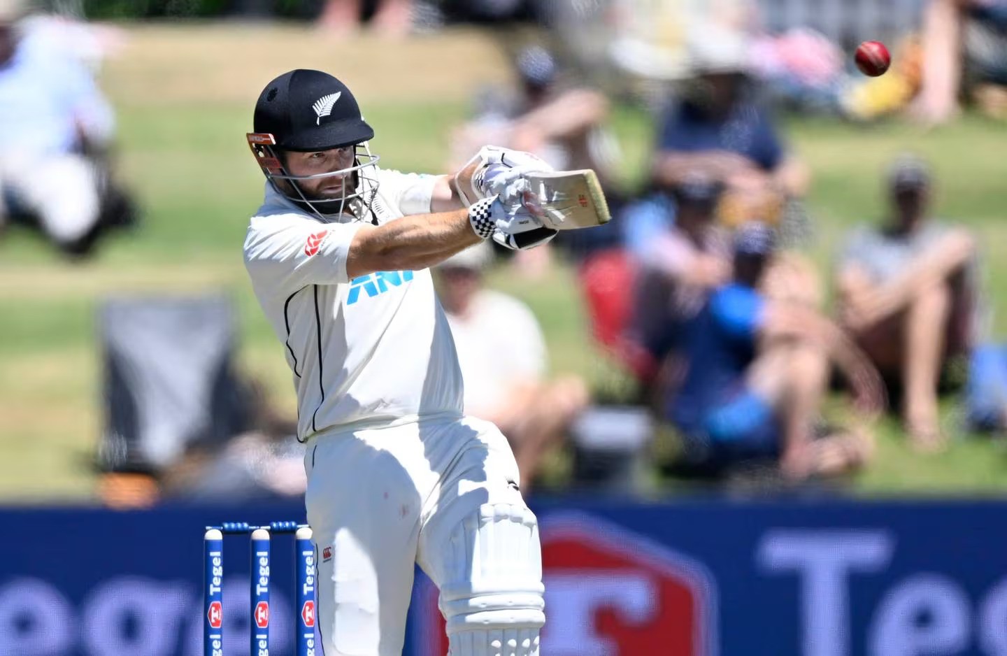 Kane Williamson scored his 30th test century. Photo / Photosport